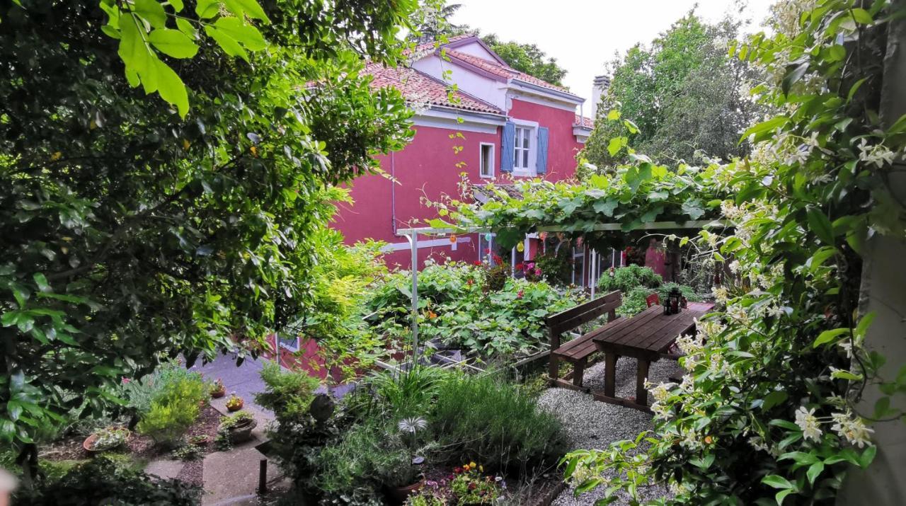 Charming Apartment In A 19Th Century Villa Triëst Buitenkant foto